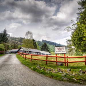 Wedding Photography Wedding Photography