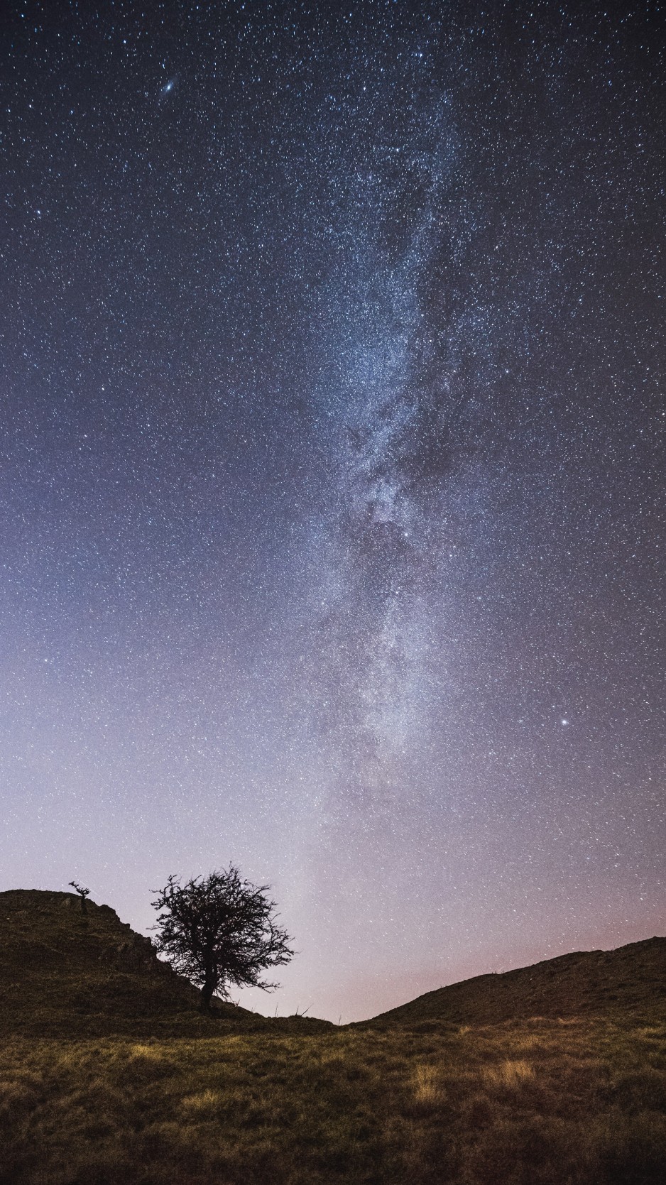 Free South Wales Mobile Wallpaper