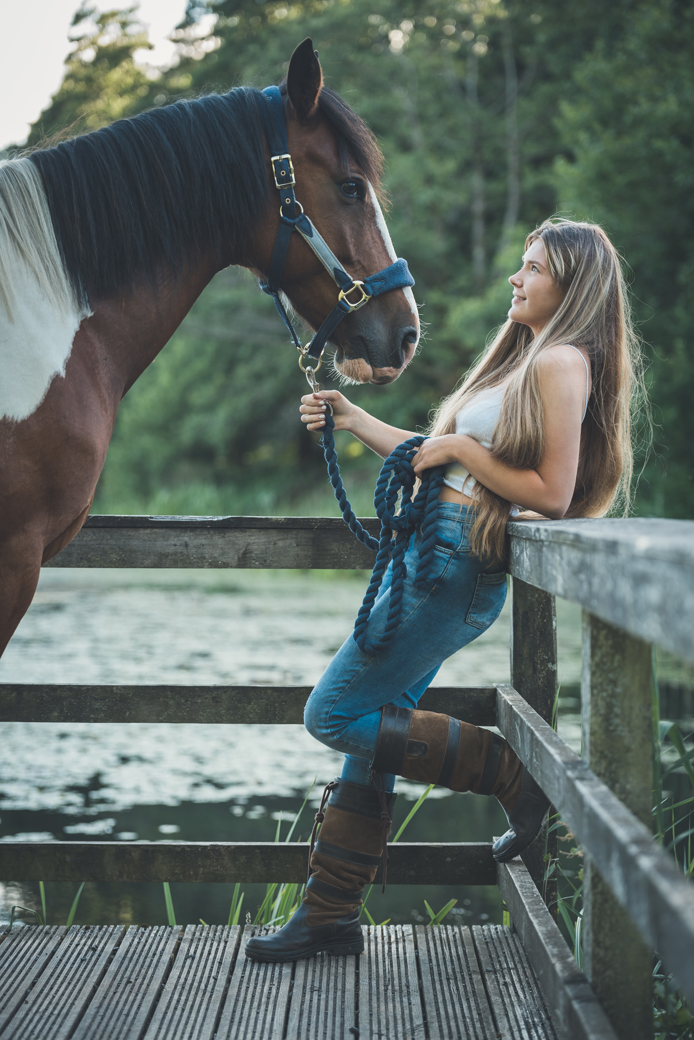 Equine Horse Portraits South Wales