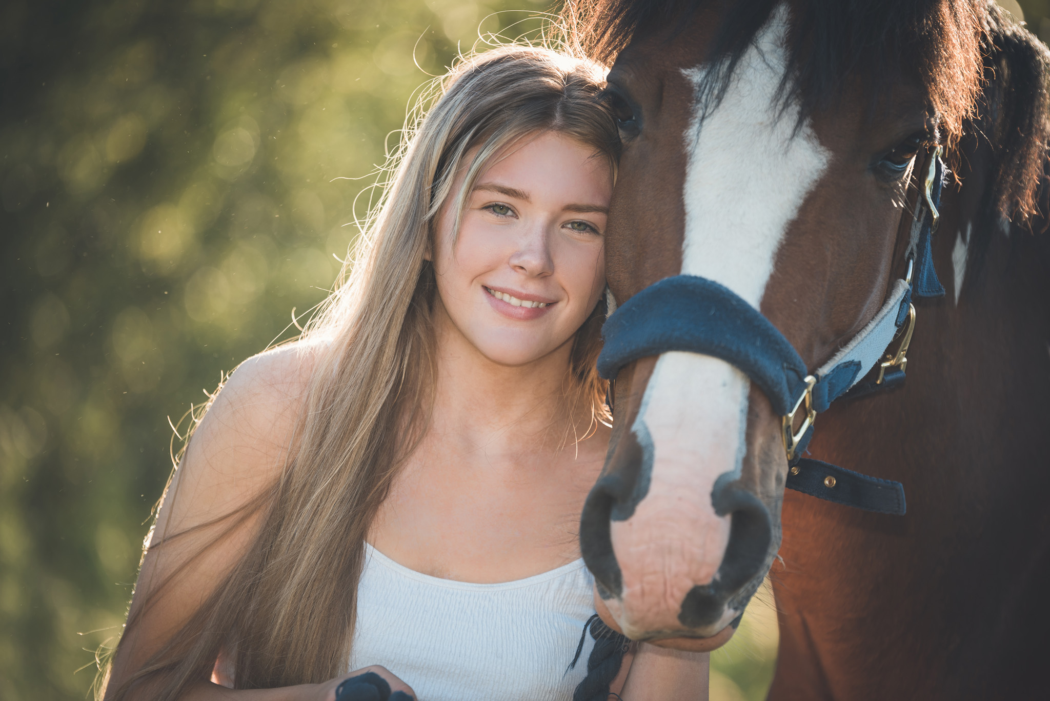 Equine Horse Portraits South Wales