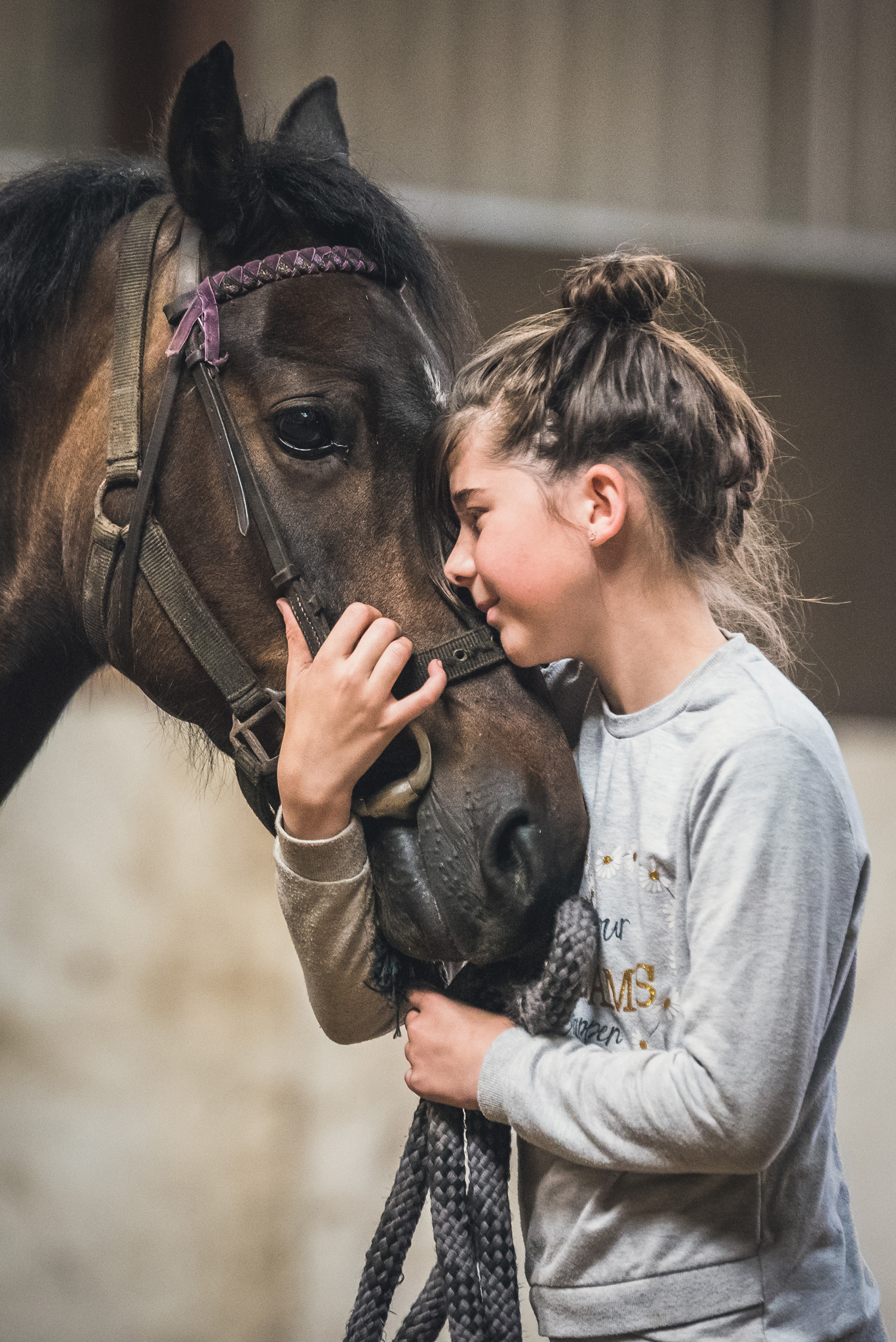 Equine Horse Portraits South Wales