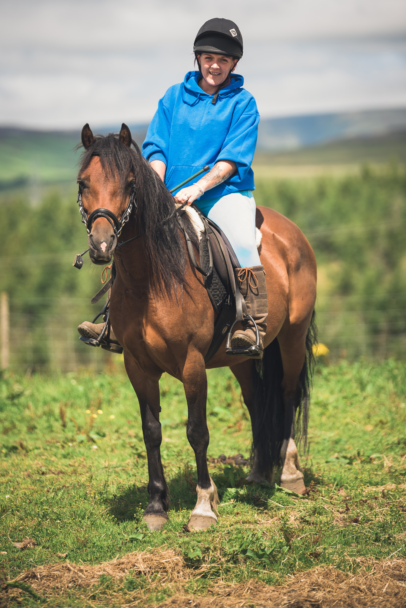 Equine Horse Portraits South Wales