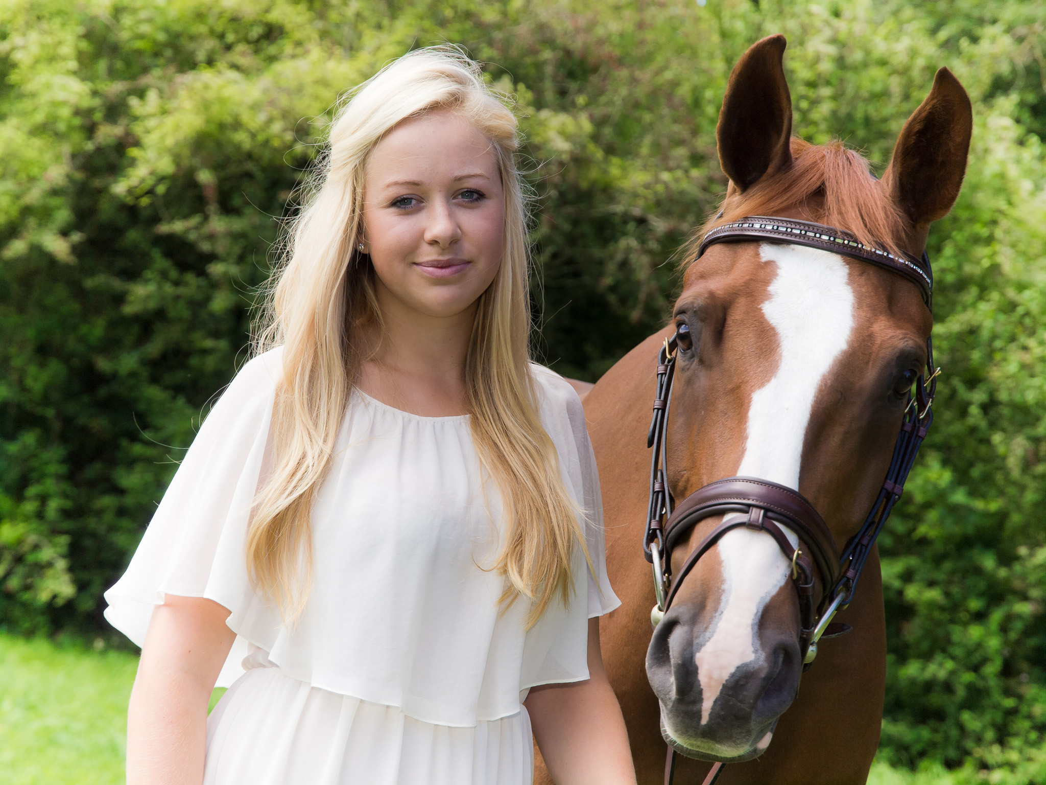 Equine Horse Portraits South Wales