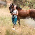 Equine Photography South Wales