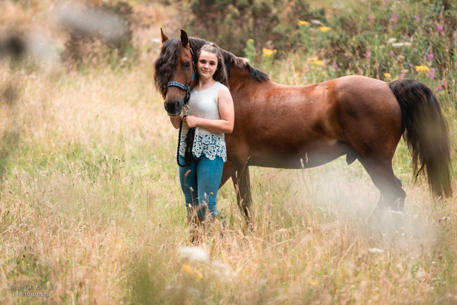 Equine Photography South Wales
