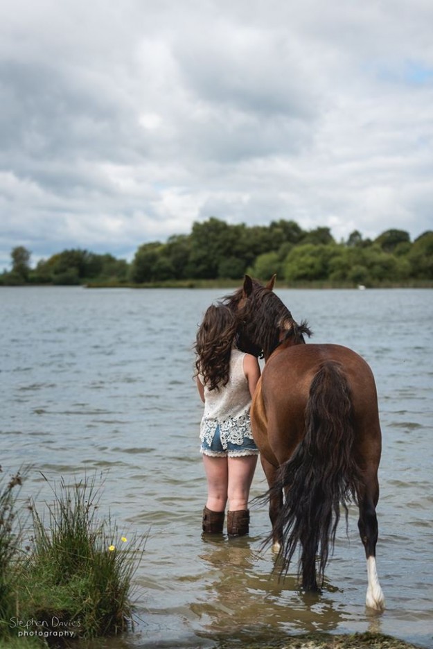 Equine Photography South Wales