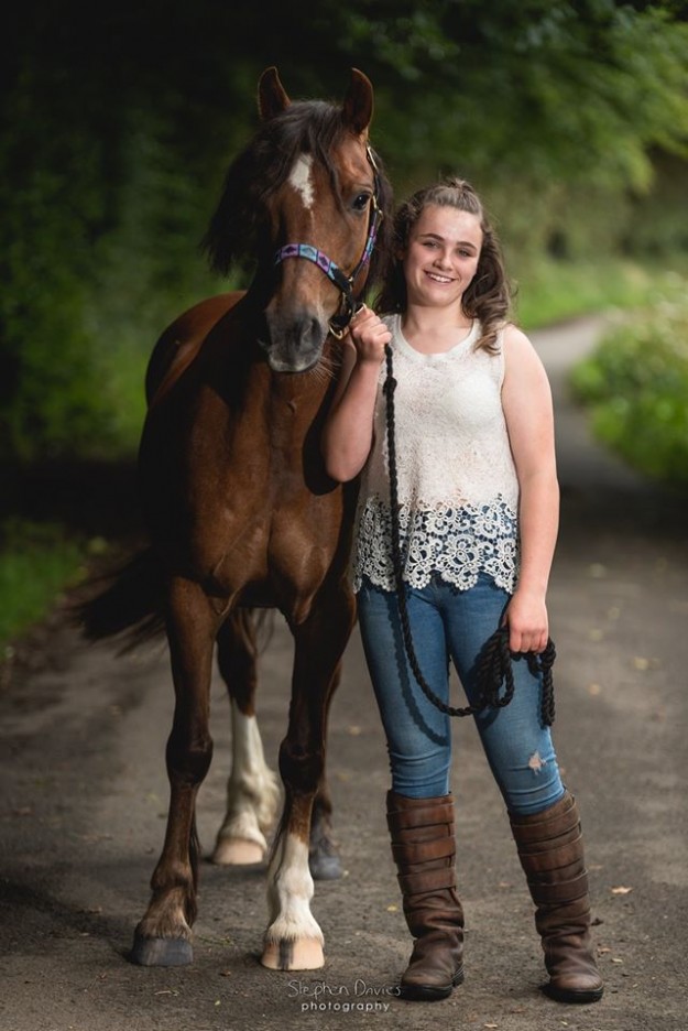 Equine Photography South Wales