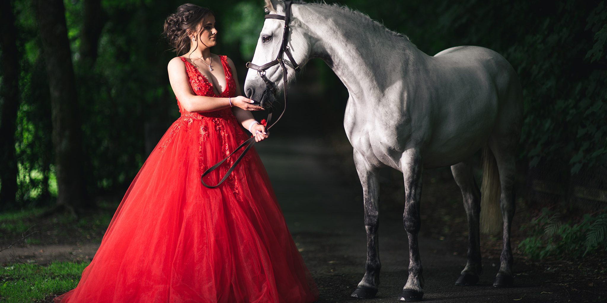 Horse & Rider Portraits Horse & Rider Portraits