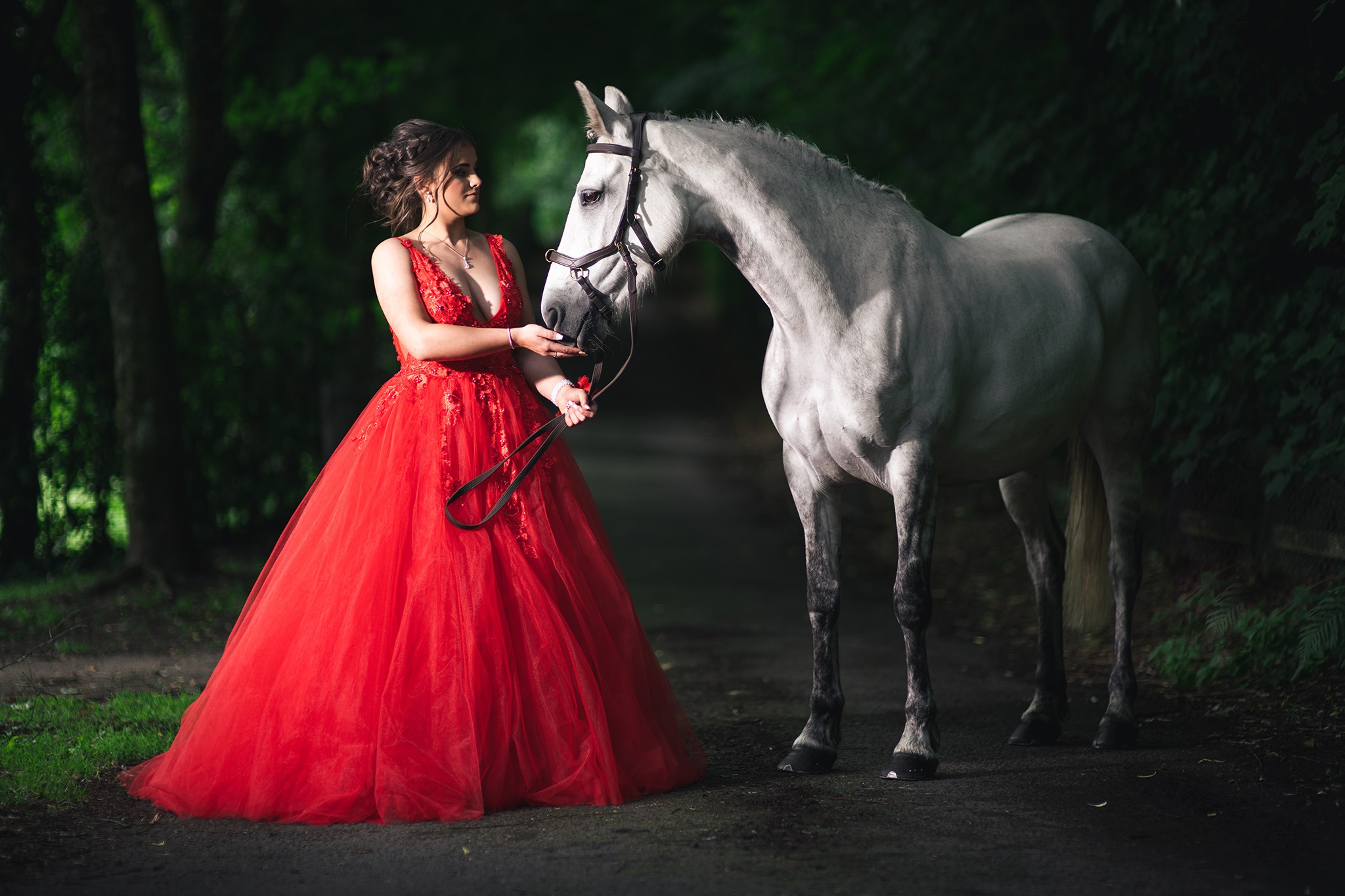 Horse & Rider Portraits Horse & Rider Portraits