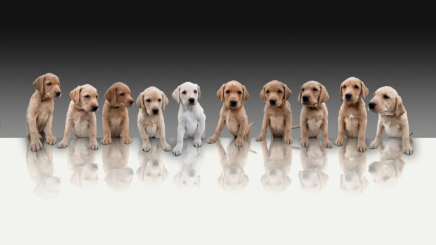 Combing Multiple Photos into one Photo Combing Multiple Photos into one Photo