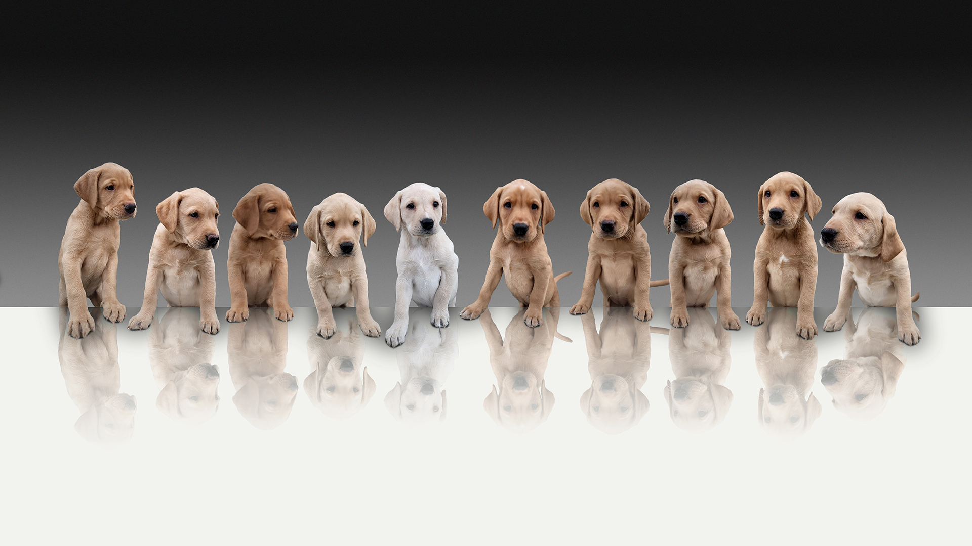 Combing Multiple Photos into one Photo Combing Multiple Photos into one Photo