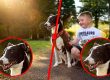 low-resolution-phone-photo-before-after