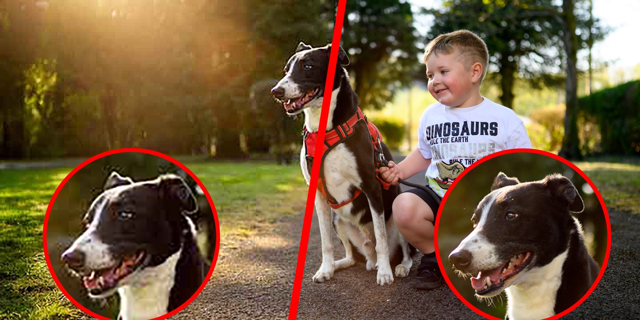 low-resolution-phone-photo-before-after low-resolution-phone-photo-before-after